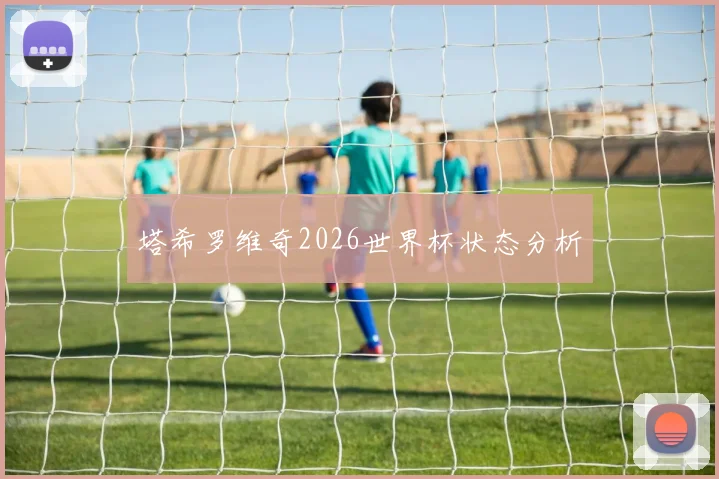 塔希罗维奇2026世界杯状态分析